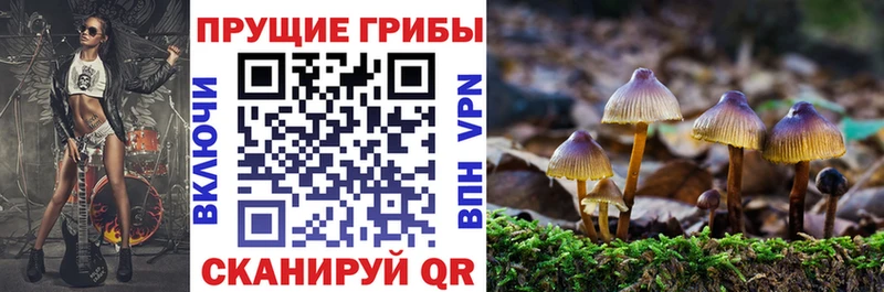 Псилоцибиновые грибы мицелий  Россошь 